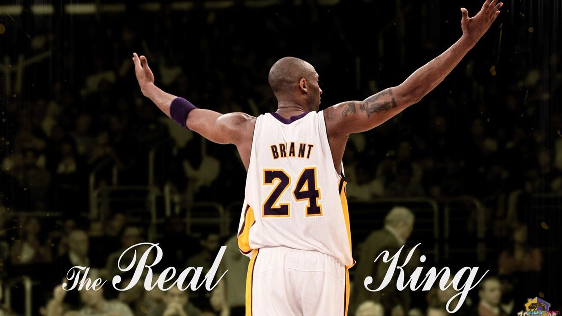 联合杯的革新浪潮，德约科维奇如何以国家队荣耀碾压温网传统